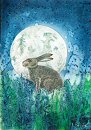 خرگوش و ماه